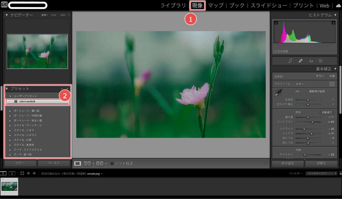 Lightroom Classicでのプリセットの反映方法