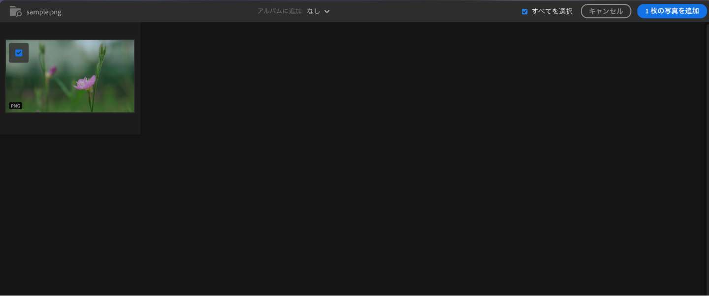 Lightroomへの画像の読み込み2