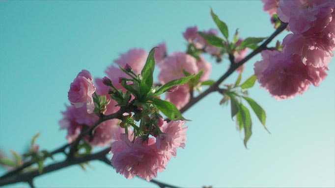 Natural LUMIX