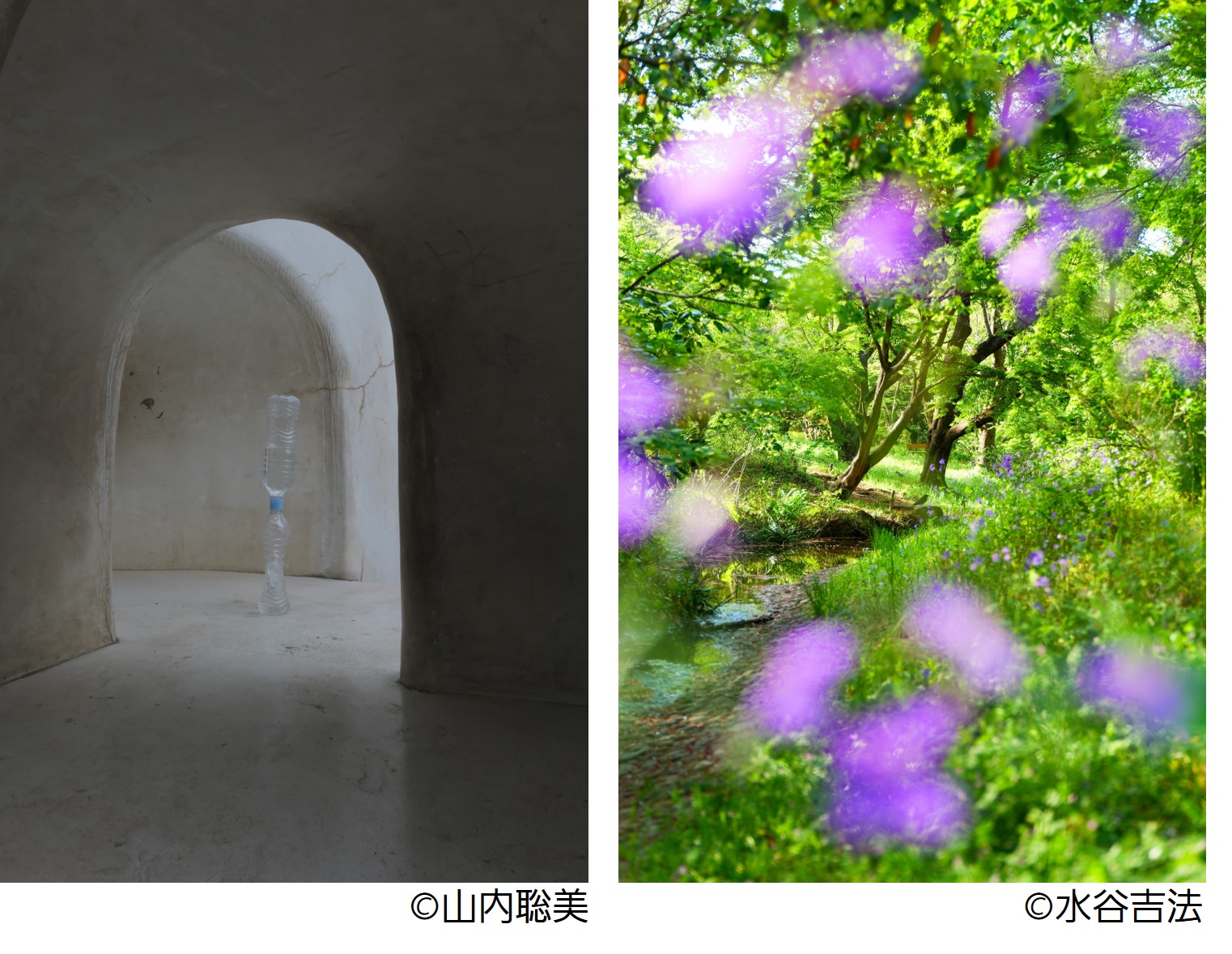 LUMIX S9写真展